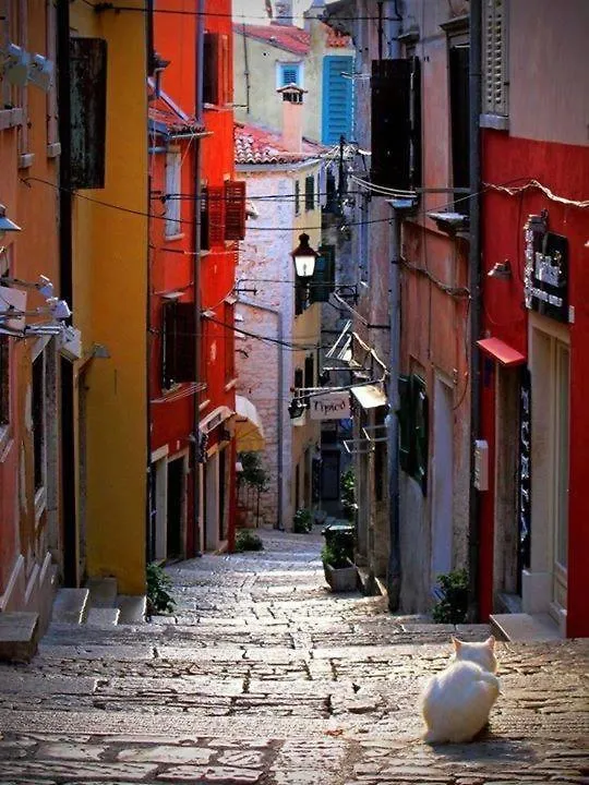 Villa Tea Rovinj By Adriatic - 200M From The Sea, Stylish Residence Croácia